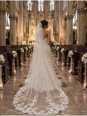 Bridal Applique Veil 1 Layer Lace Embroidered Edge Cathedral Wedding Veil NEW